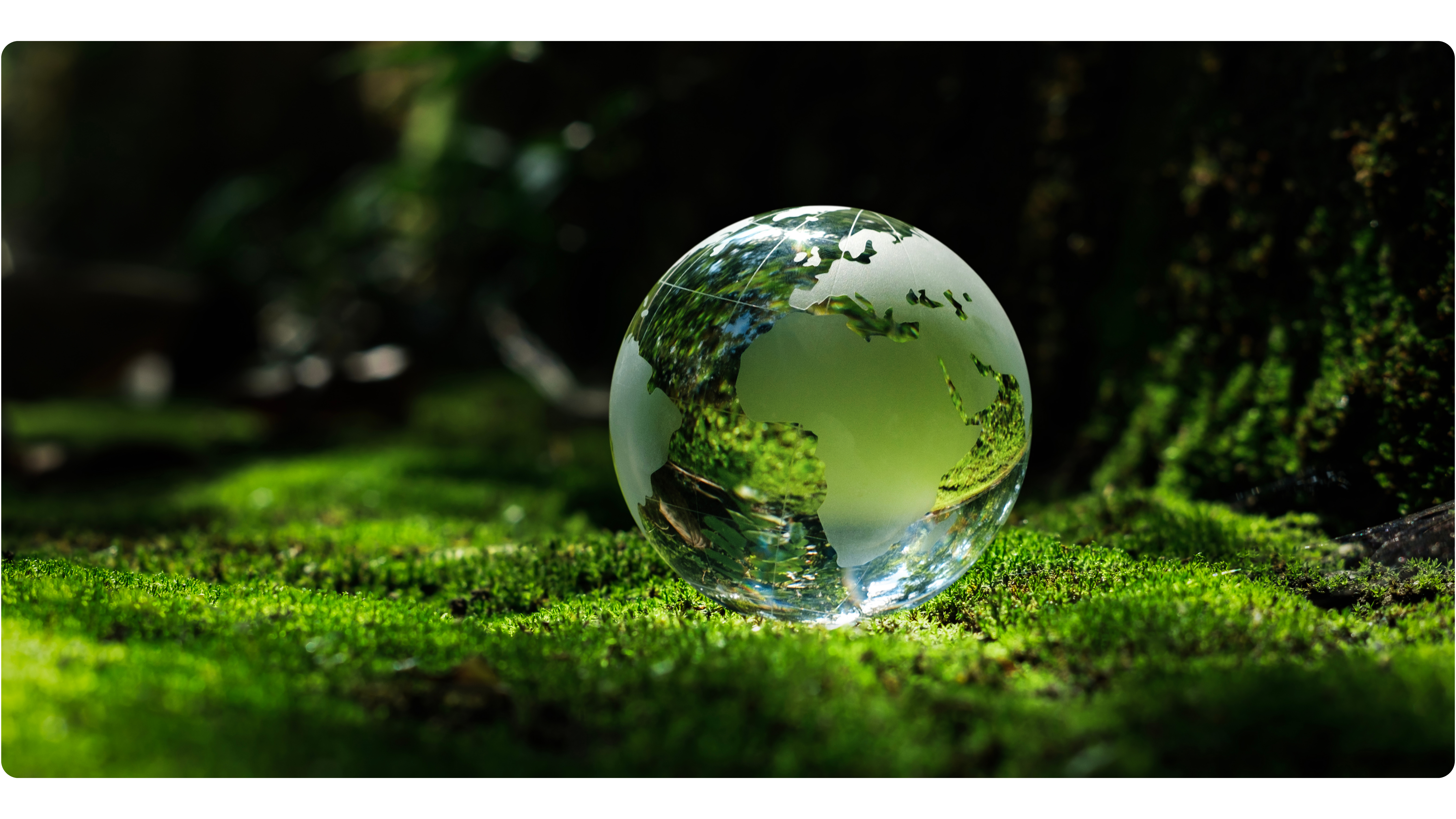 miniatura_sostenibilidad _ nuestro enfoque _ protección medioambiental 4